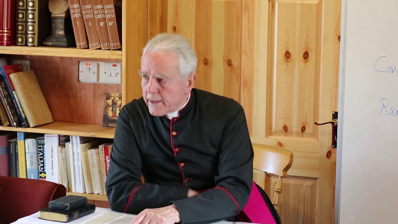 Bishop Williamson - Pascendi - Cork (3 of 7)