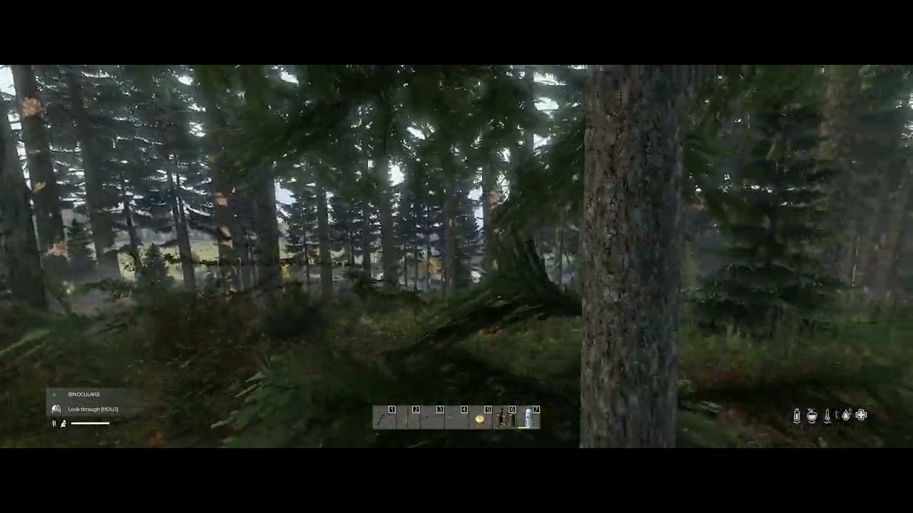 DayZ - Wolf - YouTube