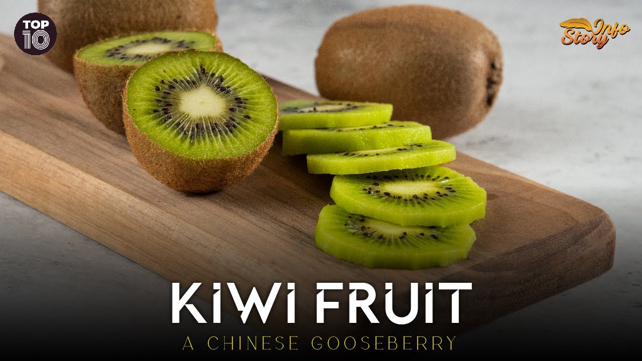 Kiwi Fruit | A Chinese Gooseberry | Info Story | Top 10 - YouTube