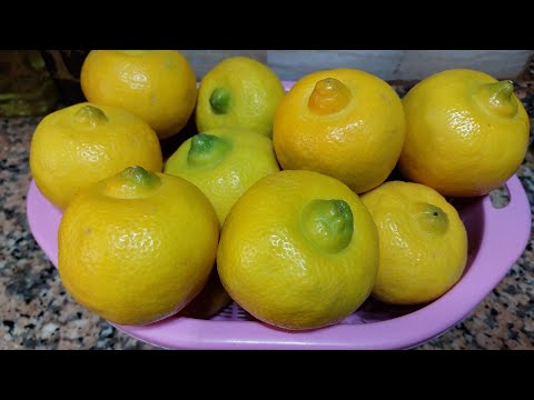طريقة تحضير الحامض (الليمون)المصير كيجي رائع ا معسل🍋🍋🍋