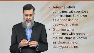 BIO202_Topic162