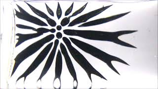 3D-Ferrofluid-Audio-Visualizer playing "dj rakesh"