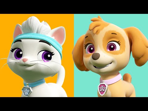 PAW PATROL RESCUES