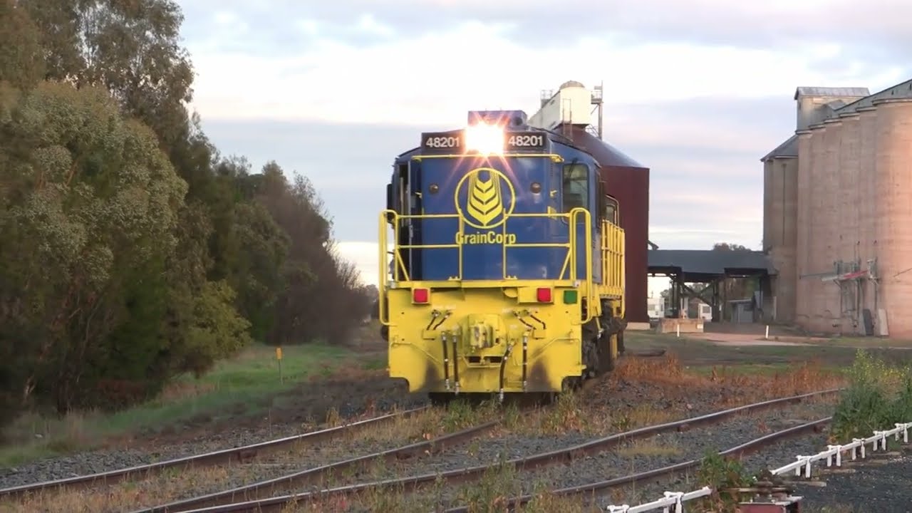 Pacific National and Graincorp 48 class 48213 48140 48201 reach Boree Creek and shunt. 07 July 2013.