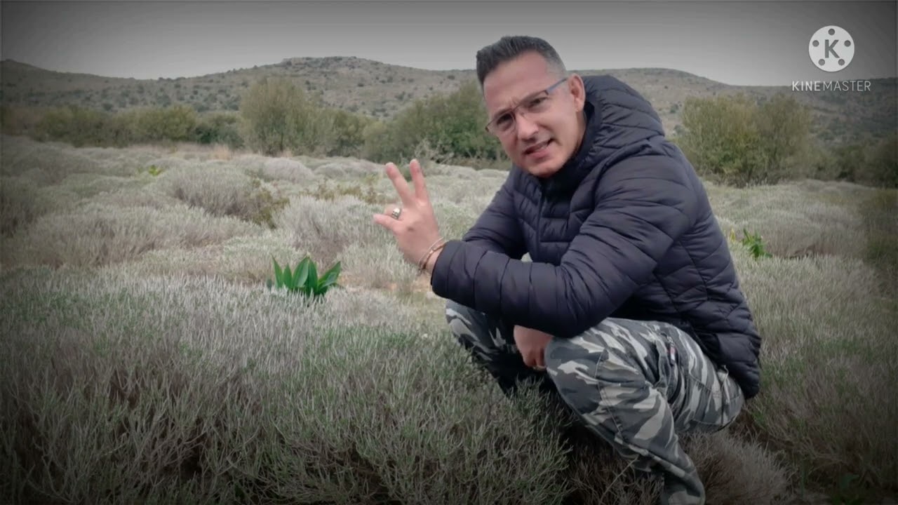 Στα αρχαία μελισσοκομεία της Αττικής