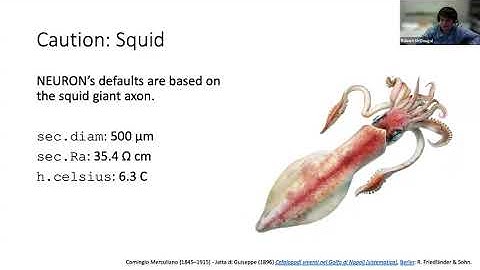 20210624 Python scripting day 1
