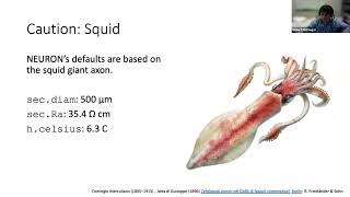 Celebrity 20210624 Python scripting day 1 Wealth