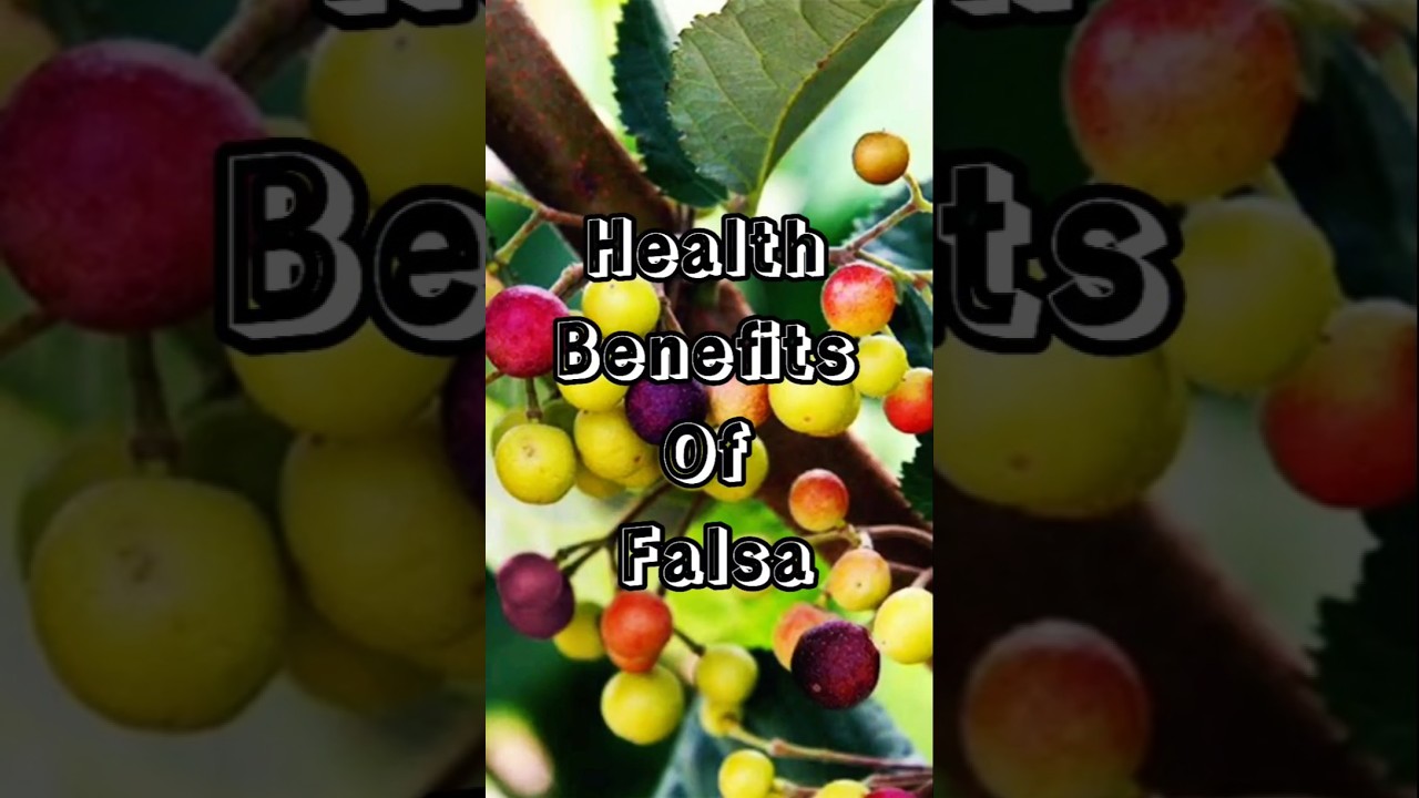 Health Benefits Of phalsa fruit | 