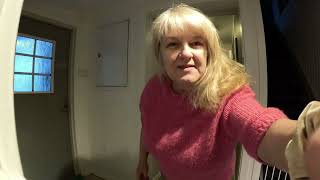 Ar vadovauju vyrui,suplanavau atostogas į LT,vlogas#norvegija #vlog #goldenretriever