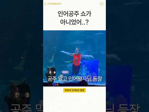 인어공주 쇼가 아니었어?