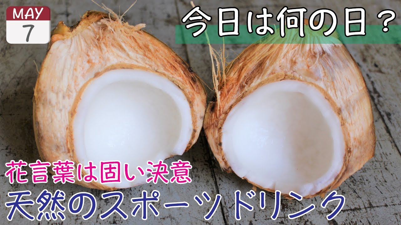 ココナッツの日 これから毎日飯テロしようぜ 5月7日 Youtube