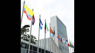 Information UN Security Council holds fourth straw poll for next secretary-general News
