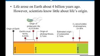 Chapter 16 History of Life