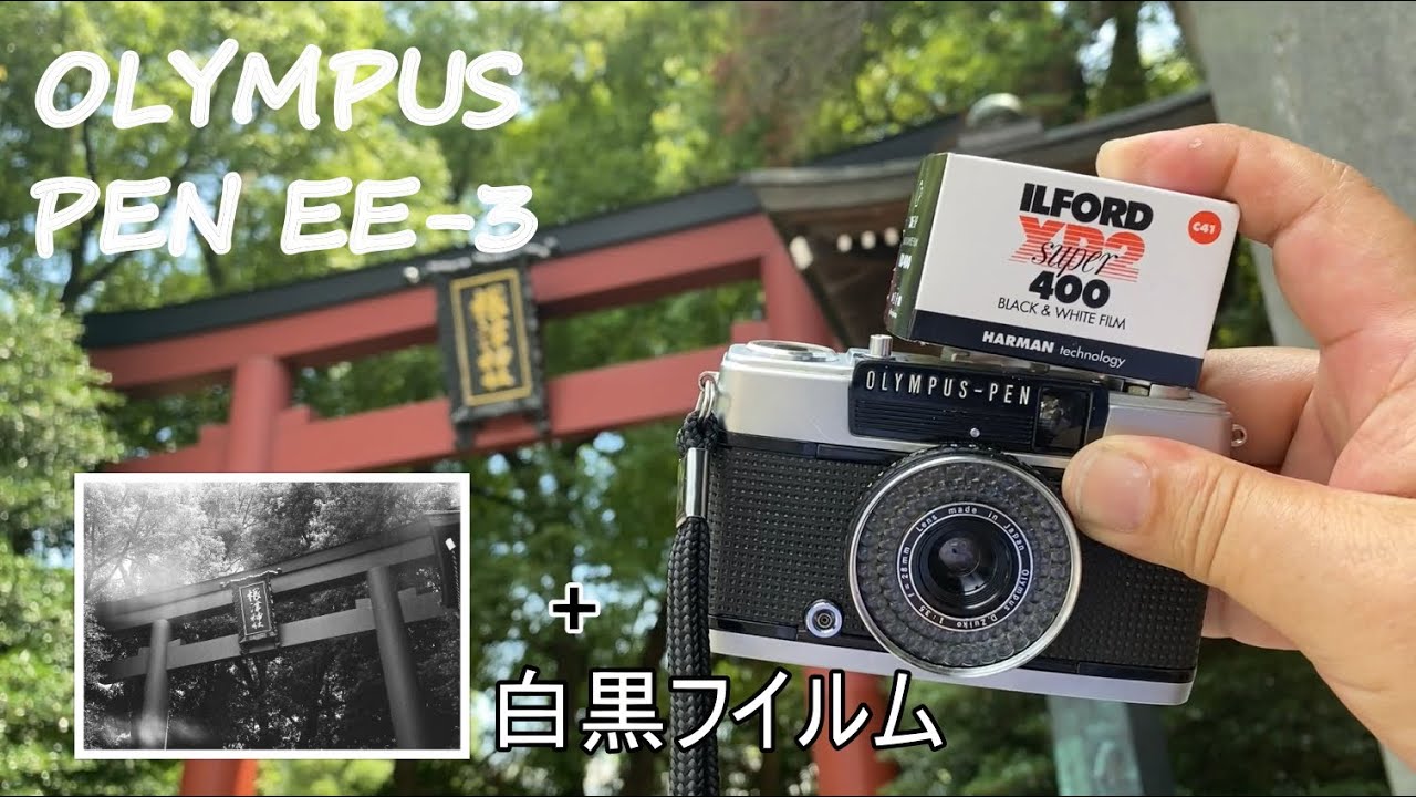 根津神社をフィルムカメラOLYMPUS PEN EE-3にILFORD XP2(モノクロフイルム)を入れて撮ったらすごい写真が撮れました。　【作例あり】