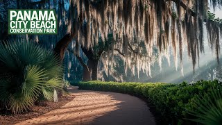 Panama City Beach Conservation Park 