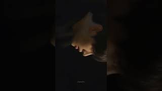 𝘽𝙇𝘼𝘾𝙆 𝙎𝙒𝘼𝙉