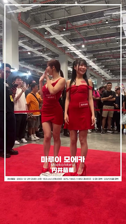 마루이 모에카 Moeka Marui 円井萌華 AV배우