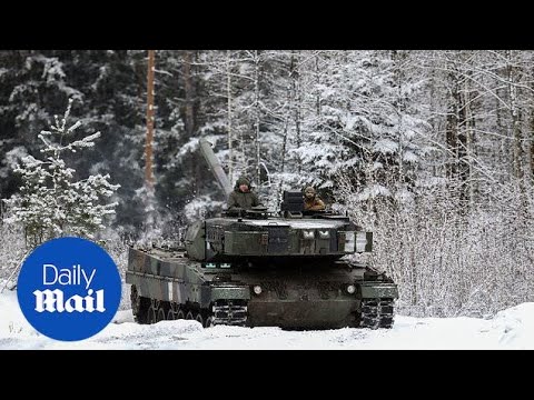 Ukrainian brigades target russian soldiers in the kreminna forest near bakhmut