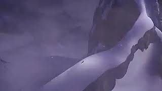 Let It Go Frozen Persian Glory Dvd