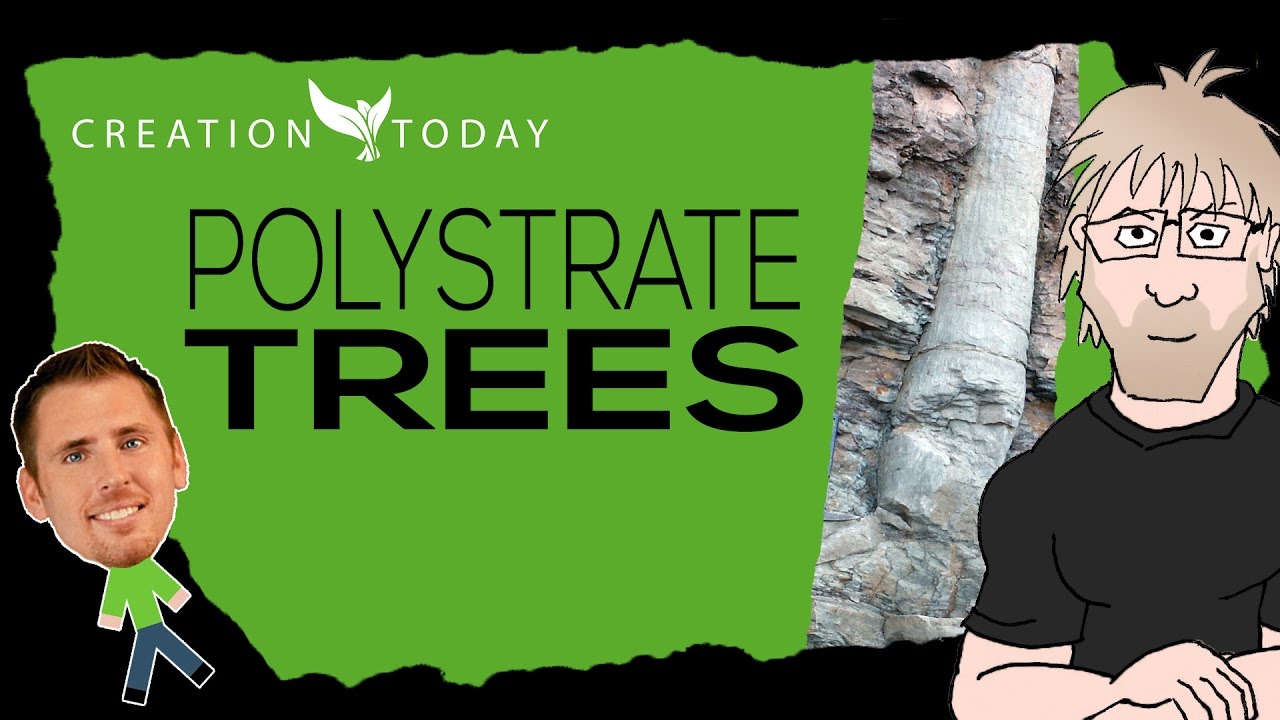 Creation Today Claims - Polystrate Trees