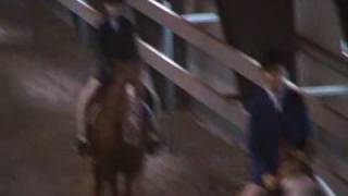 Working Hunter Flat Class