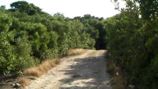 Parc National Santa Rosa2