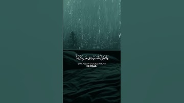 إنك لا تهدي من أحببت #ياسر_الدوسري #قرآن #القرآن_الكريم #تلاوات #تلاوة #تلاوة_خاشعة #تلاوات_نادرة