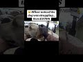 🥺 Officer noticed the dog was struggling… then did THIS