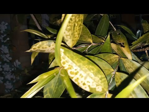 ผลสลากกินแบ่งรัฐบาล วันที่ 1 พย. 2567