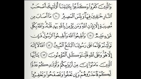 تلاوات مختارة سورة التغابن القارئ ناصر علي الغامدي