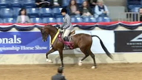 Wendy Potts - PA DURANGO - US NATIONALS HORSE 2019