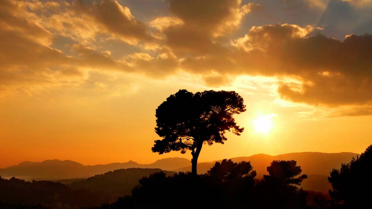Guarda Faithless - Salva Mea (Way Out West Mix) su YouTube