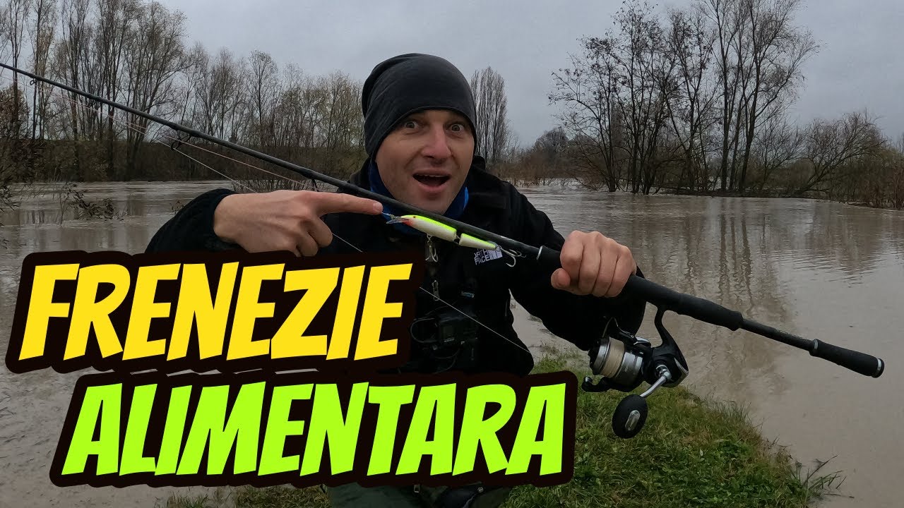 Pescuit  SOMN la spinning FRENEZIE ALIMENTARA💥🌧💥
