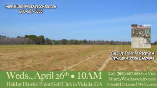Tattnall County Georgia Land Auction