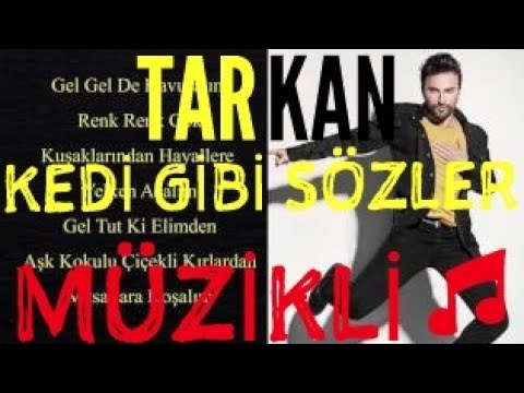 TARKAN-Kedi Gibi Sözleri Lyrics (2017)(Müzikli)