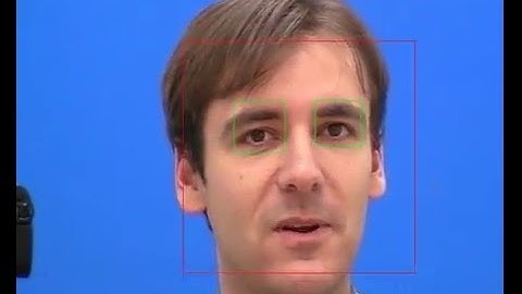 Talking Face Blink Detection using OpenCV
