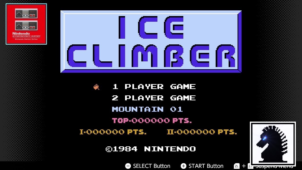 NS Nintendo Entertainment System - Nintendo Switch Online #9: Ice Climber