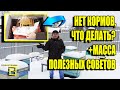 ПЧЕЛЫ БЕЗ КОРМОВ! ЭКСТРЕННАЯ ПОДКОРМКА ПЧЕЛ ЗИМОЙ. ПАСЕКА ЗИМОЙ 7 ДЛЯ НАЧИНАЮЩИХ ПЧЕЛОВОДОВ