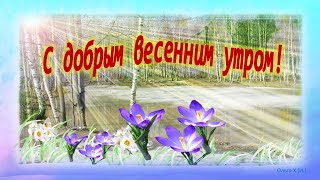 #Маленькиеоткрытки#С добрым весенним утром!