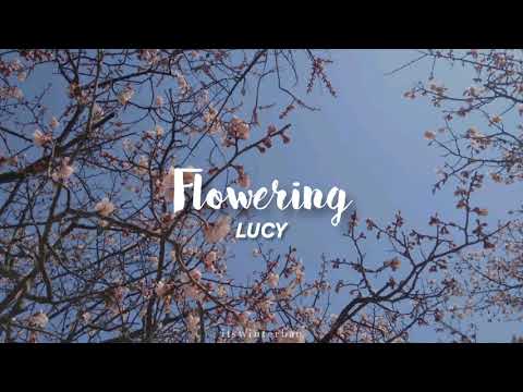 [KR/ID] LUCY (루시) - 개화 Flowering (Lyrics Translation Sub Indo)