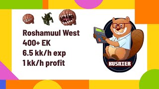 Roshamuul West | 4.3 kk/h raw | 400+ Knight | Tibia Hunting Guide