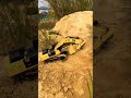 RC Shovel Big Crane Run And Digging Up Soil.#youtubeshorts#shorts