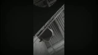 sungguh ku merasa nyaman di dekatmu sungguh ku bahagia bila ada kamu cover loma wrnt