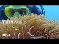 Tiny world  filming inside the reef  apple tv