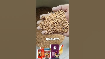 gallimax21 #shortvideo #chicken #freerangechicken #freerangefood