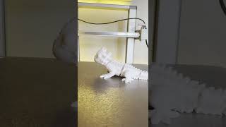 This 3D printed Lizard Actually moves 🦎🤯 This 3D printed Lizard Actually moves 🦎🤯