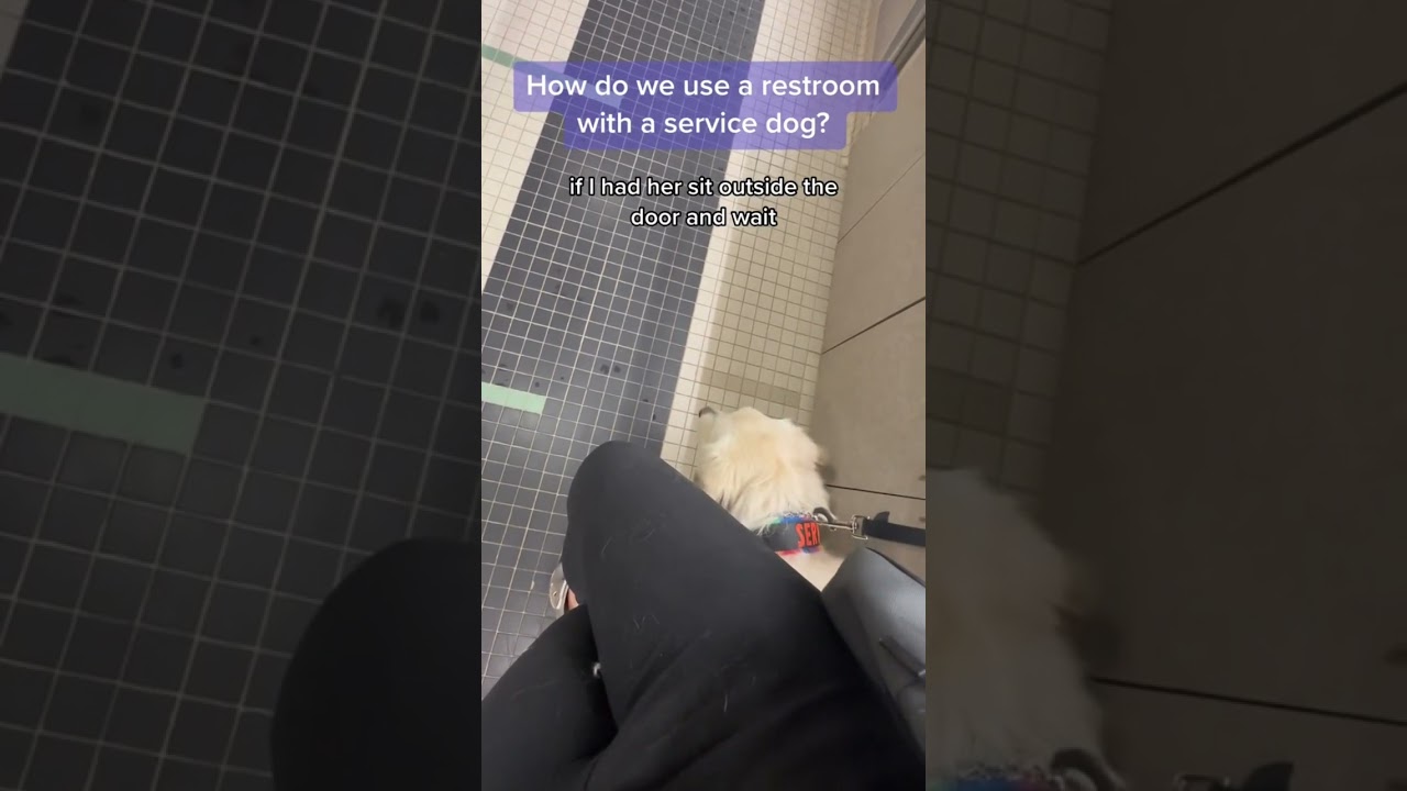 How do we use a restroom with a service dog?