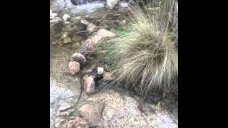 Cascada de Peñaliendre (La Berzosa - Hoyo de Manzanares)
