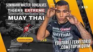 Seminário técnico de MuayThai com o multi campeão Walter Gonçalves