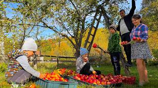Rural Family Life ❤️ Huge Apple Harvest, Traditional Carpathian Cooking & Building a Dream Home 🏡